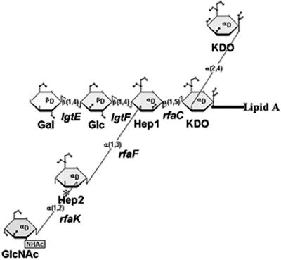 FIG. 1.