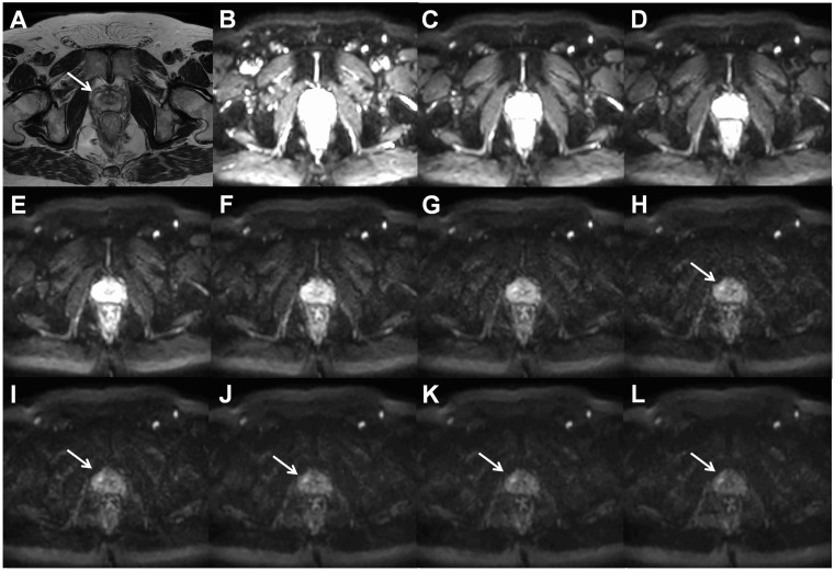 Fig. 9.