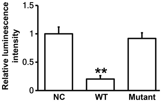 Figure 5.