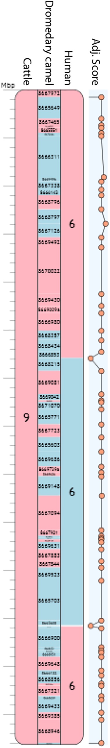 FIGURE 3