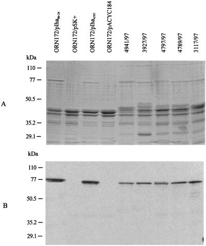 FIG. 7