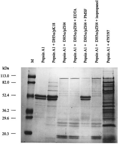 FIG. 5