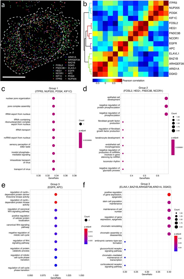 Extended Data Fig. 6