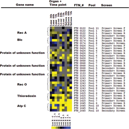 FIG. 4.