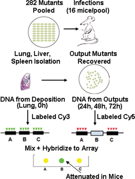 FIG. 2.