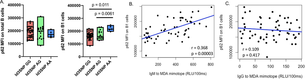 Figure 6: