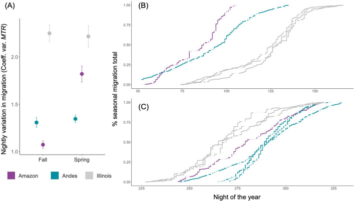 Low variation in nightly migration traffic drives a gradual accumulation of migration across a season in Colombia