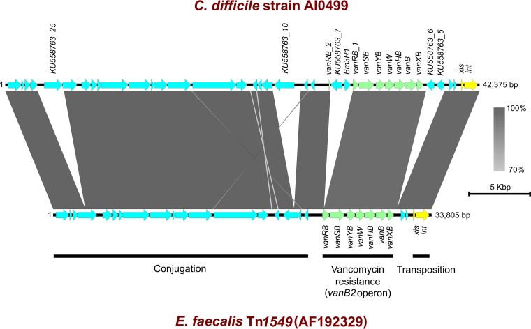 FIG 1 