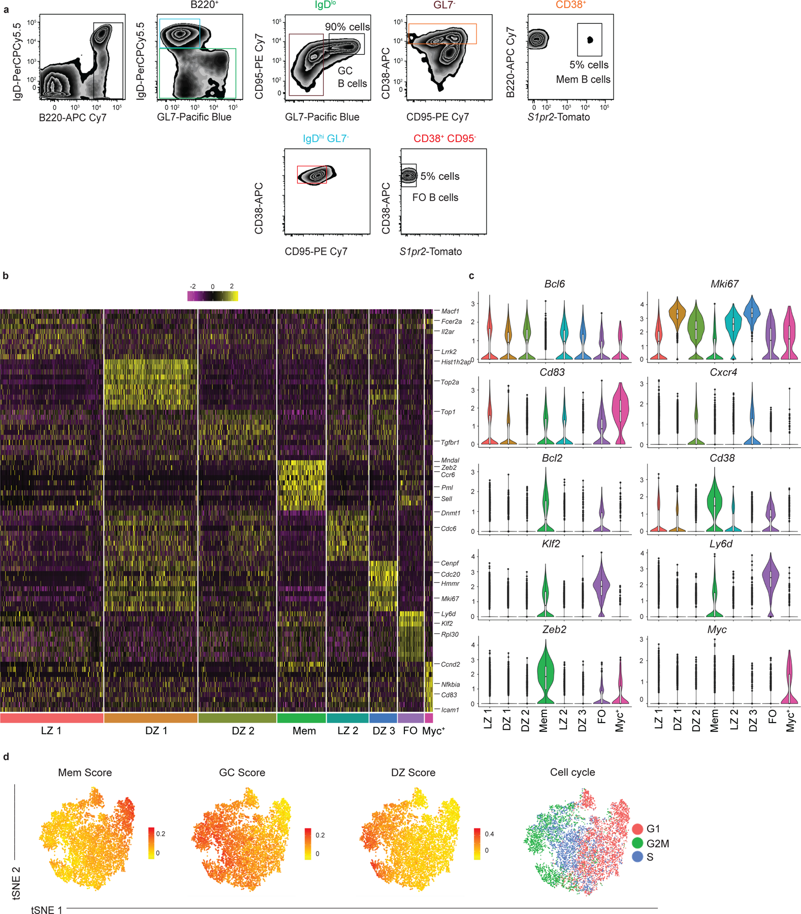 Extended Data Figure 1.