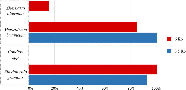 Figure 3: