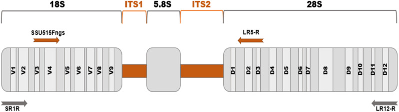 Figure 1: