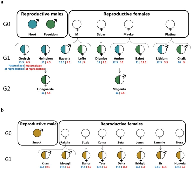 Figure 1: