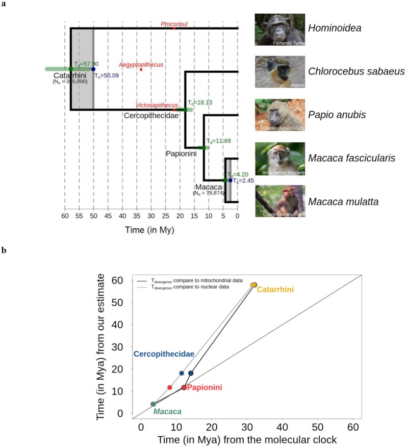 Figure 4: