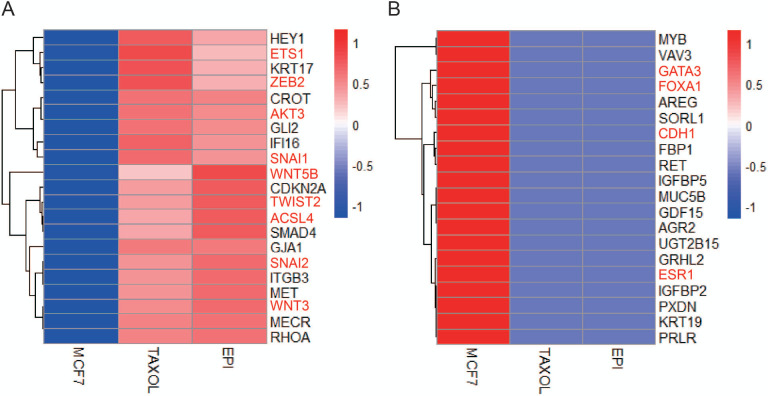 Figure 1—figure supplement 1.