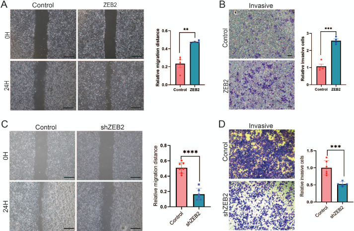 Figure 2—figure supplement 2.