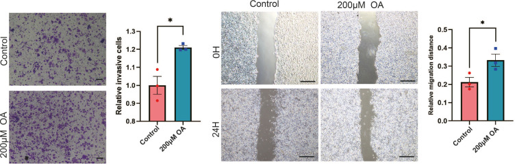 Figure 4—figure supplement 1.