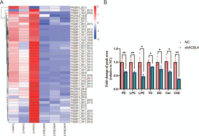 Figure 3—figure supplement 2.