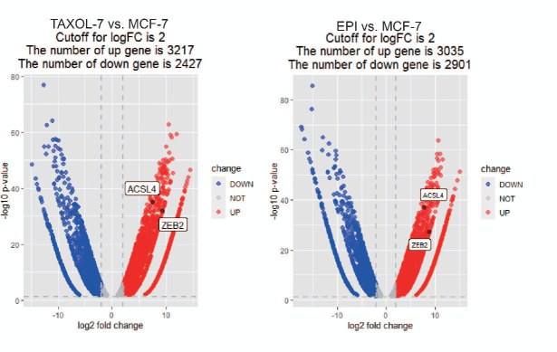 Figure 1—figure supplement 2.