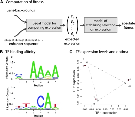 Figure 1.—