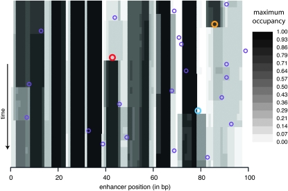 Figure 5.—