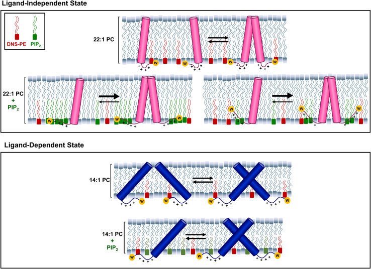 Figure 6