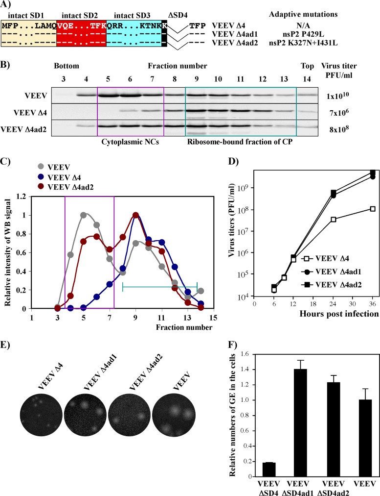 Fig 10