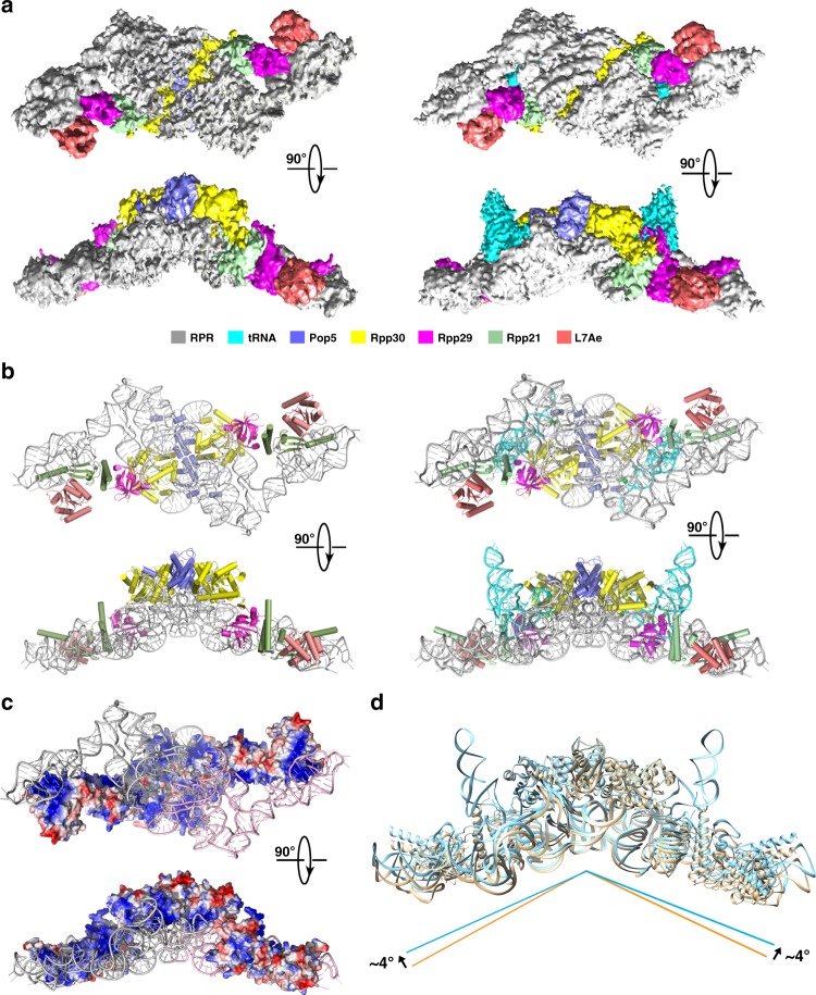 Fig. 2