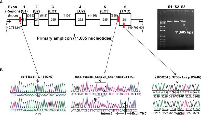 Figure 1