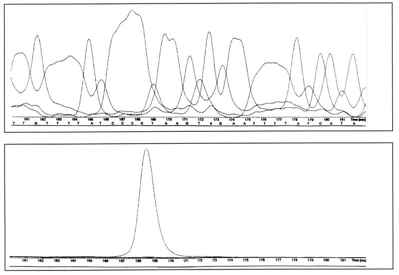 FIG. 5