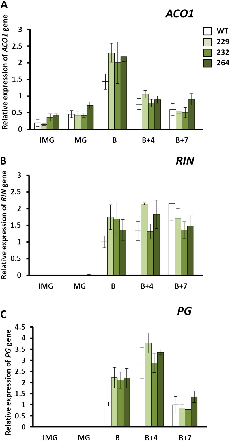 Figure 5.