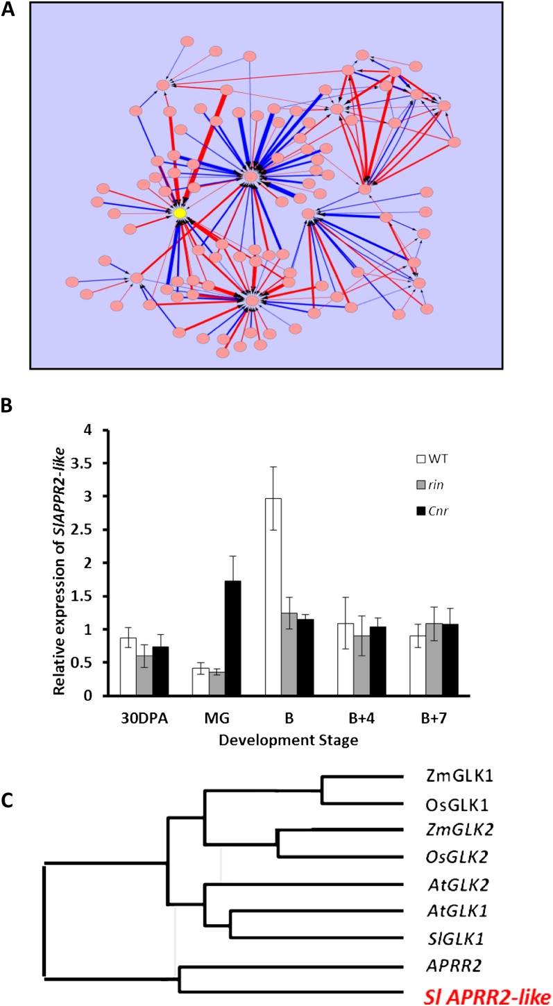 Figure 1.