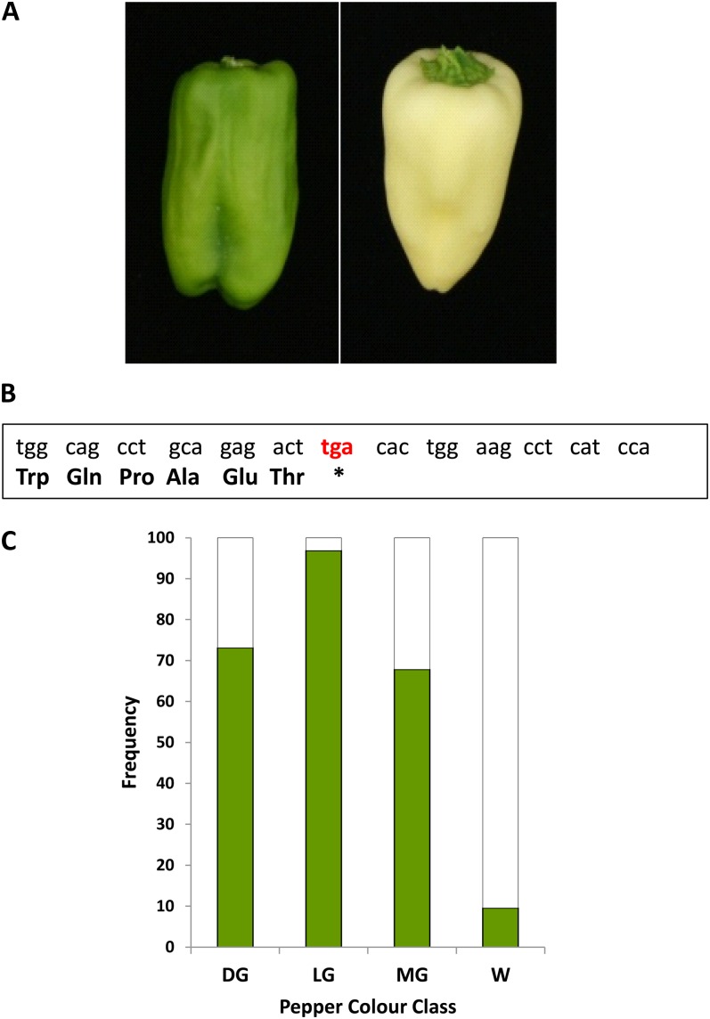 Figure 6.