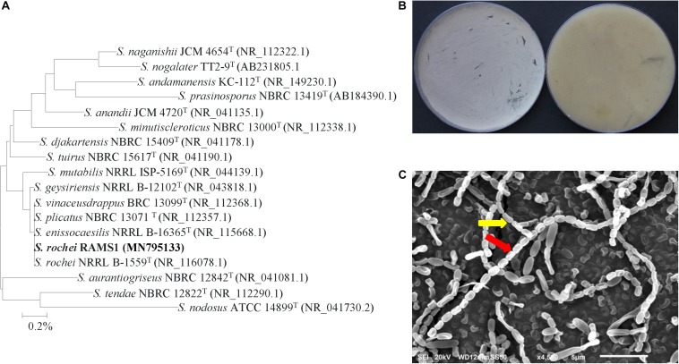 FIGURE 4