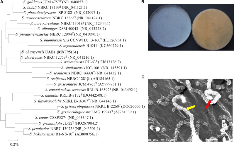 FIGURE 2