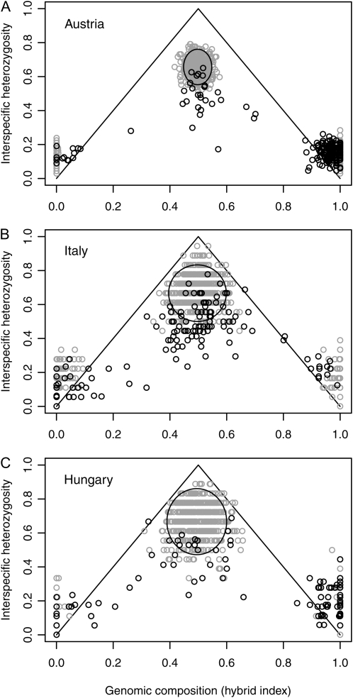 Figure 3.—