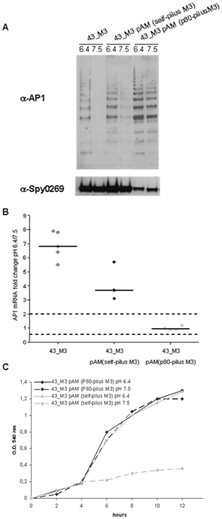 Figure 7