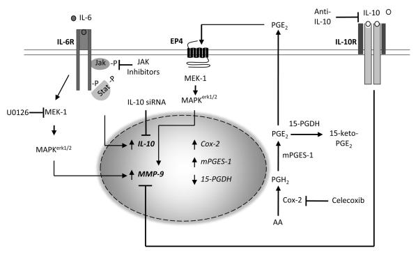 Figure 10