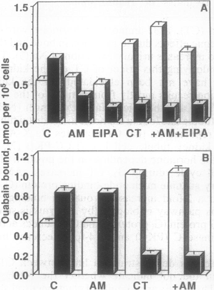 graphic file with name pnas01128-0144-b.jpg