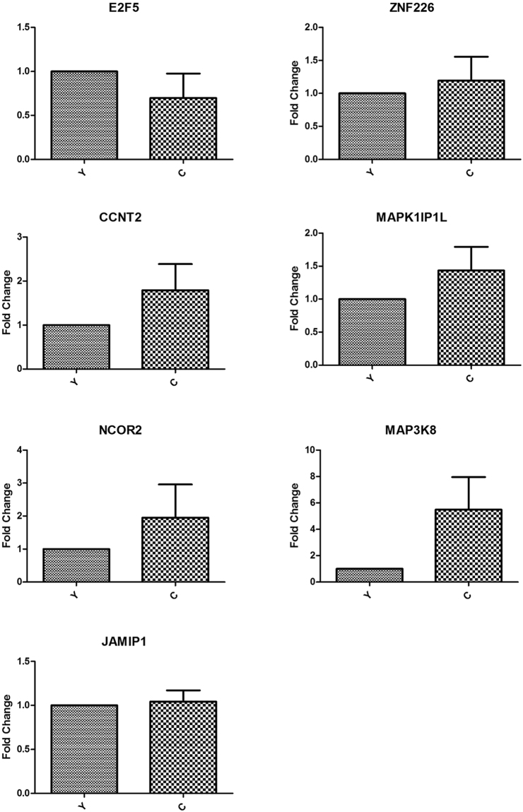 Figure 7