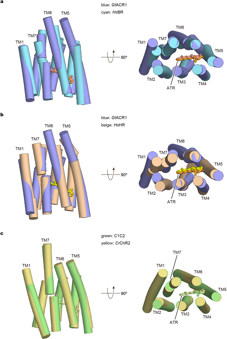 Extended Data Fig. 4