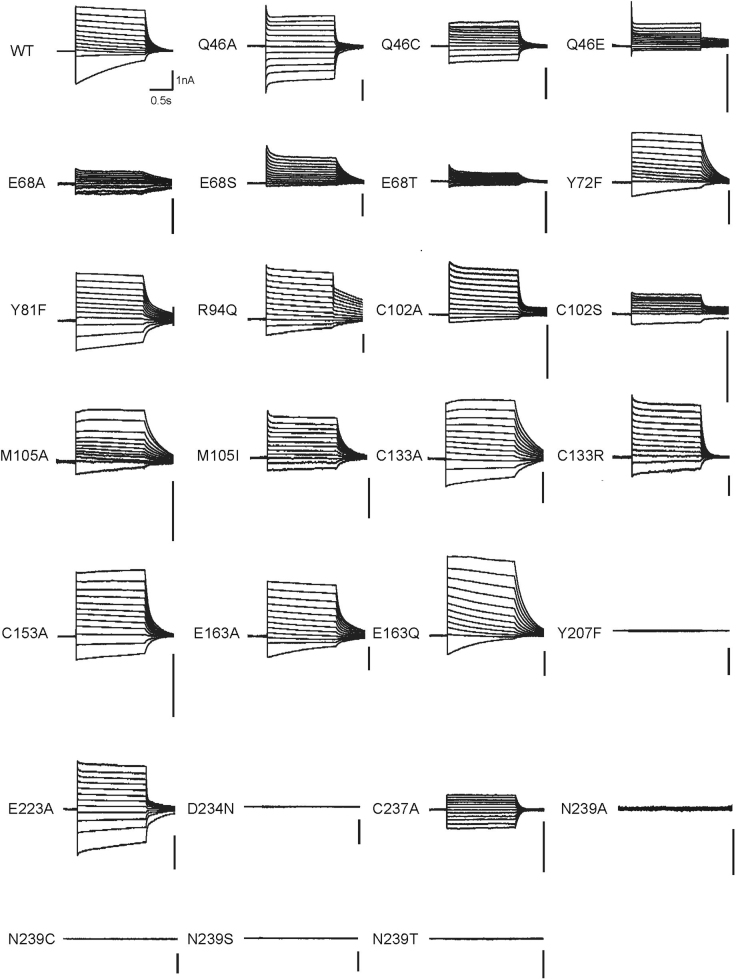 Extended Data Fig. 8