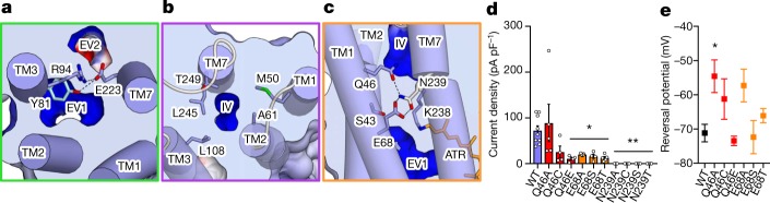 Fig. 6