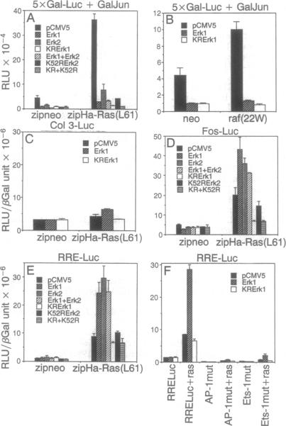 graphic file with name pnas01135-0308-a.jpg