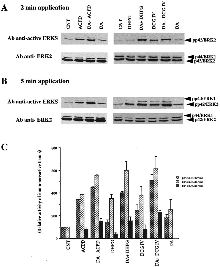 Fig. 11.