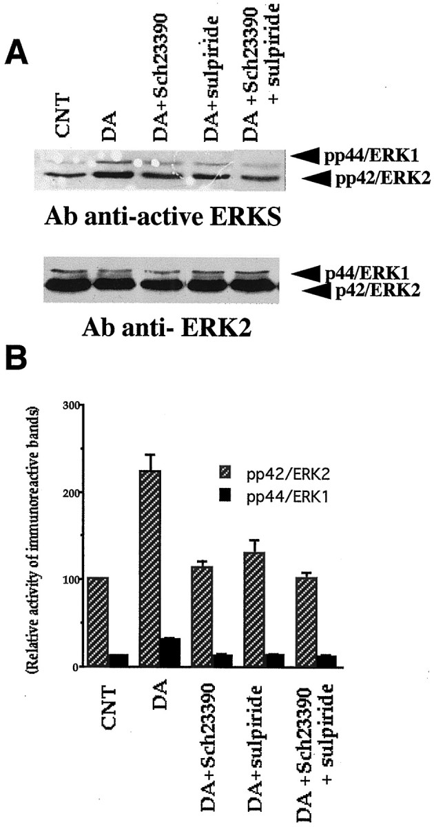 Fig. 12.