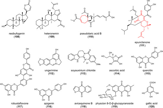 Figure 13