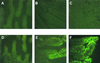 FIG. 8.
