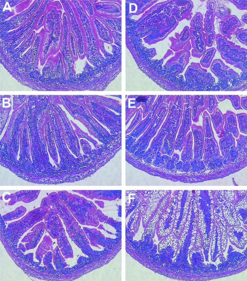 FIG. 5.