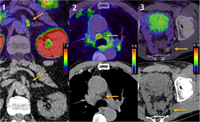 Fig. 6