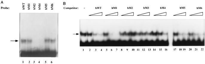 FIG. 6